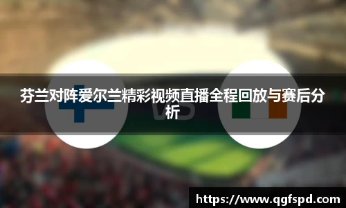 芬兰对阵爱尔兰精彩视频直播全程回放与赛后分析
