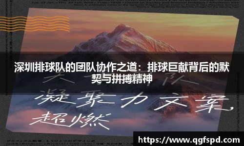 深圳排球队的团队协作之道：排球巨献背后的默契与拼搏精神